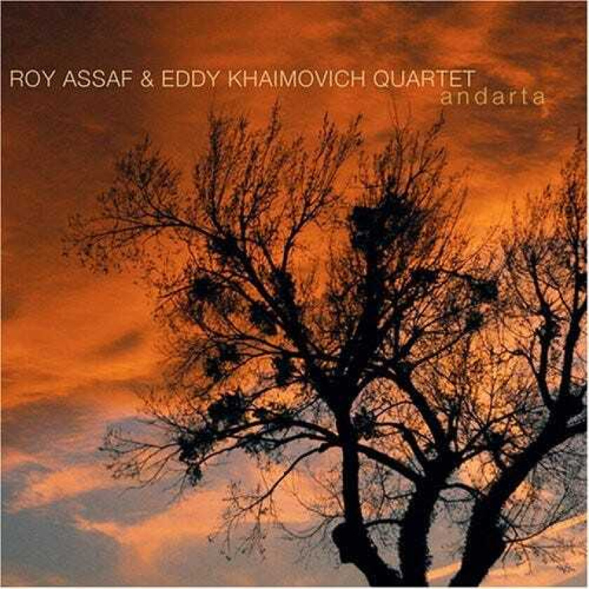 Roy Assaf Andarta CD