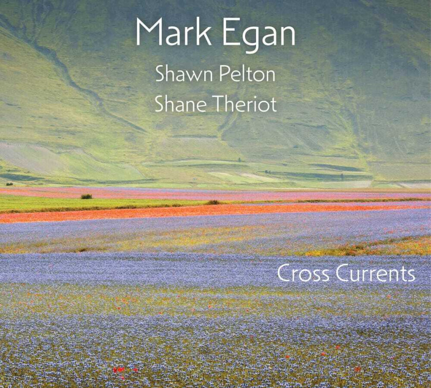 Mark Egan Cross Currents CD
