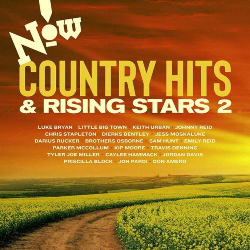 Diverse Artister Now Country: Hits & Rising CD