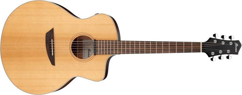 Pa230e-Nsl Gitar M/mik Pa Series