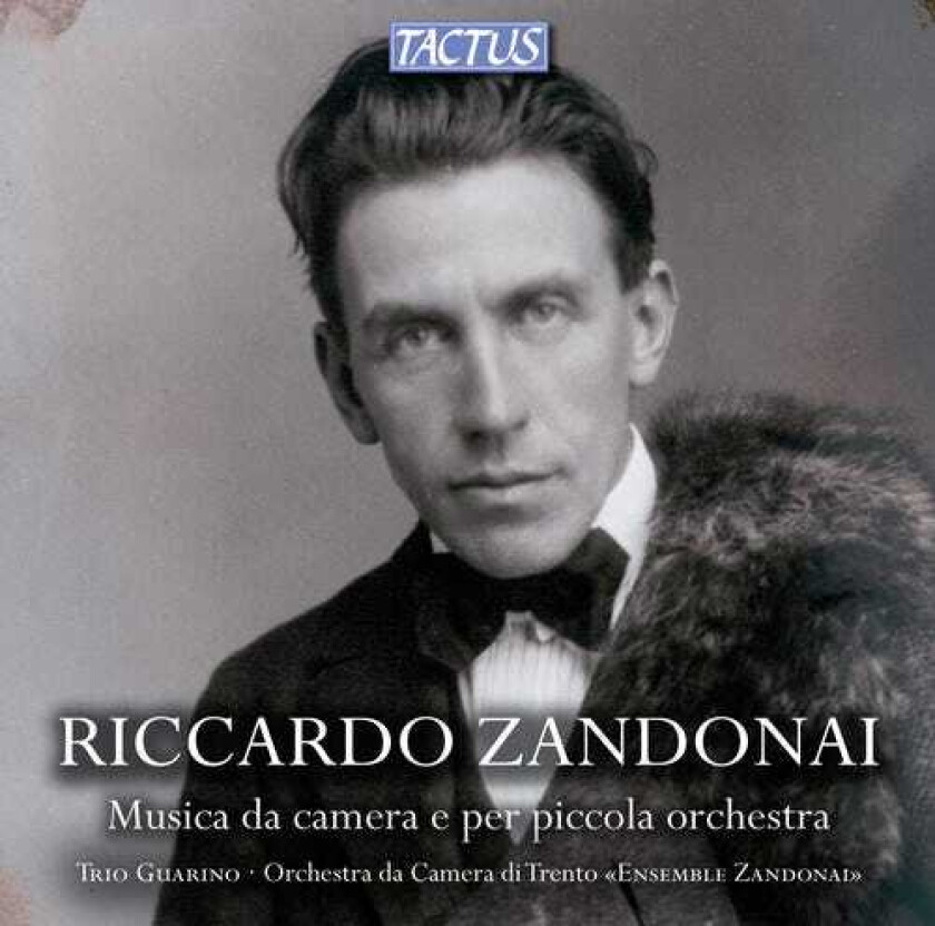 Ensenmble Zandonai, Andrea Ferroni, Giancarlo Guarino, Jessica Dalsant, Luca Martini, Margherita Guarino, Stefano Guarino Chamber Music & Works For Small Orchestra CD