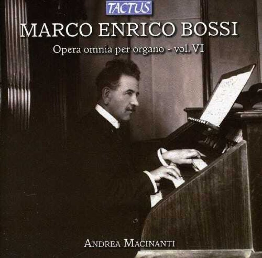 Andrea Macinanti Complete Organ Works Vi CD