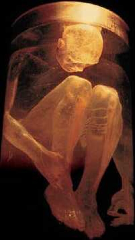 Alice In Chains Nothing Safe: Best Of CD