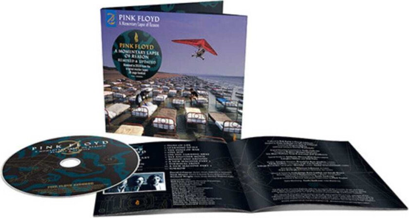 Pink Floyd Momentary Lapse Of Reason CD