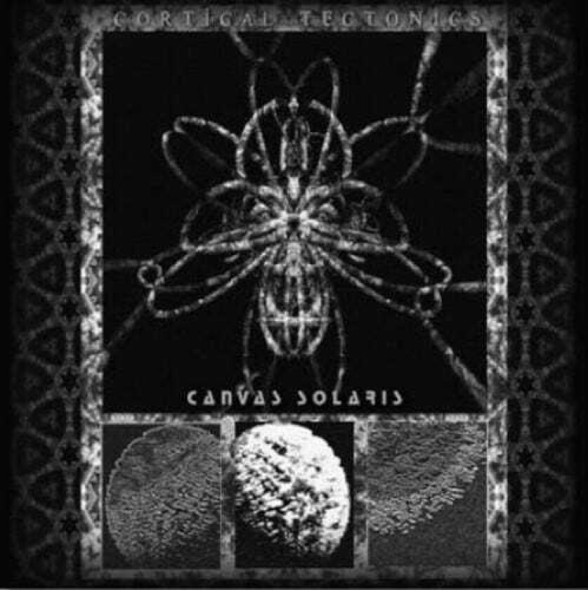 Canvas Solaris Cortical Tectonics CD