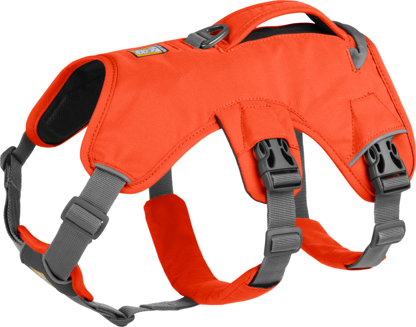 Web Master Harness Hundesele Oransje XXS