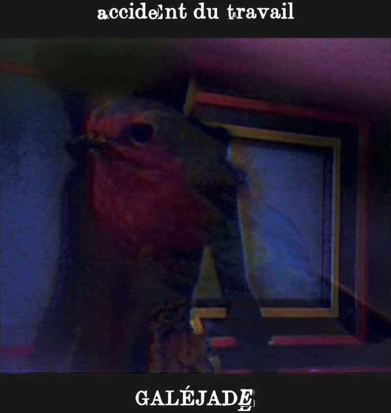 Accident Du Travail Galejade CD