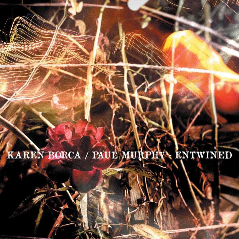 Karen Borca Entwined CD
