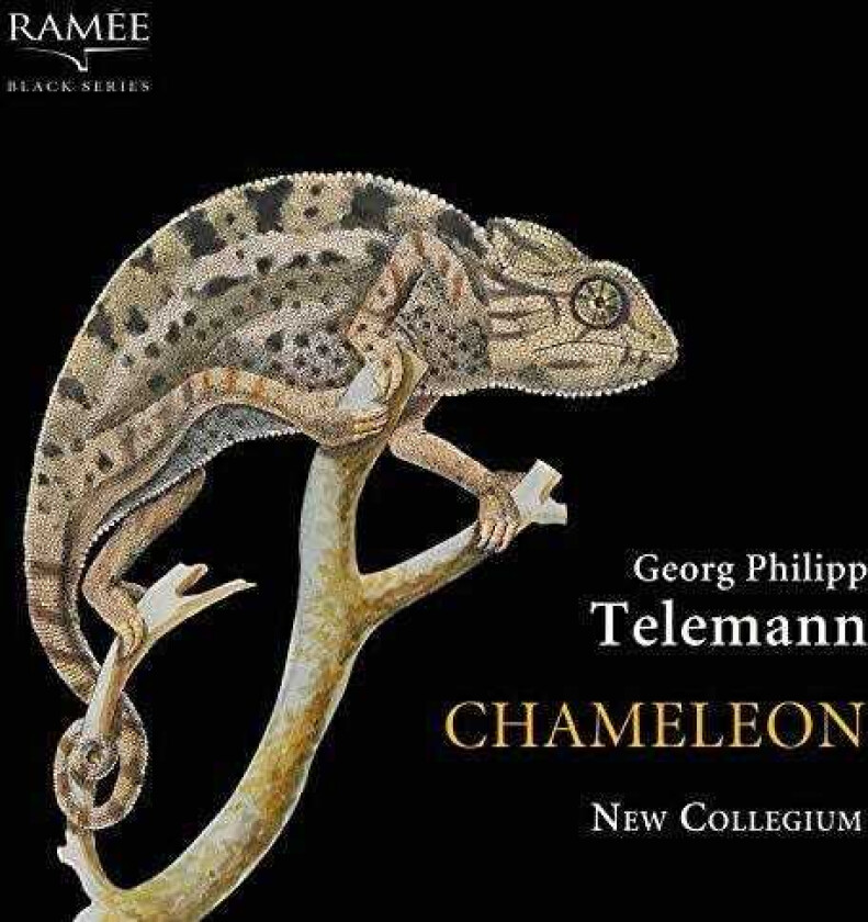 New Collegium Chameleon CD