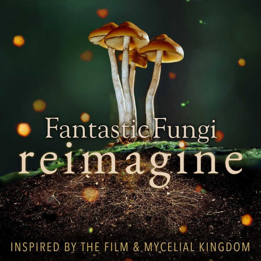 Diverse Artister Fantastic Fungi: Reimagine CD