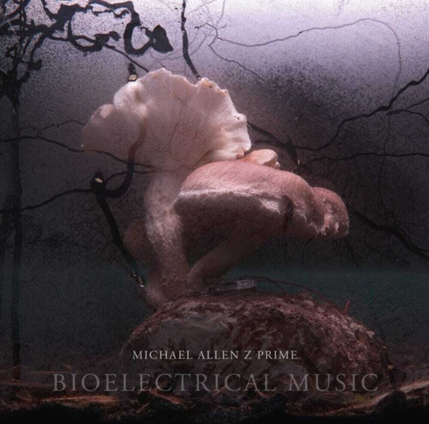 Michael Allen Z Prime Bioelectrical Music CD