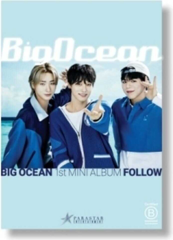 Big Ocean Follow CD