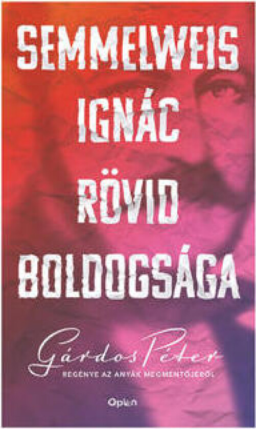 Semmelweis Ignác rövid boldogsága