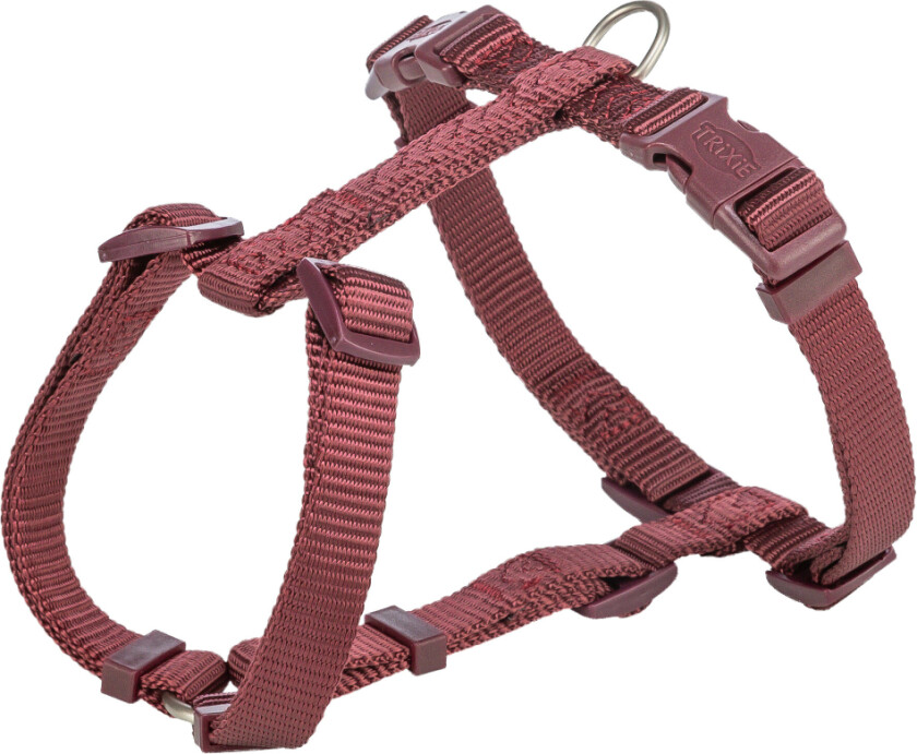 Premium H-sele, sangria - Størrelse L - XL: 75 - 120 cm brystomkrets, 25 mm bred