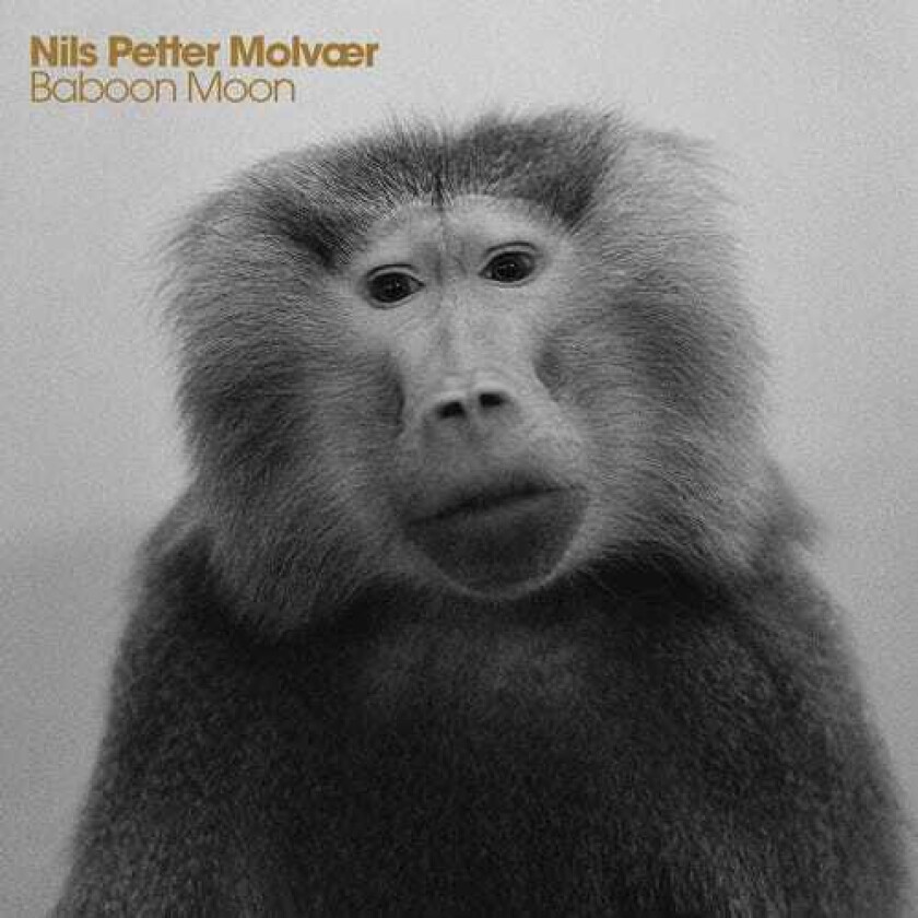 Nils Petter Molv R Baboon Moon CD