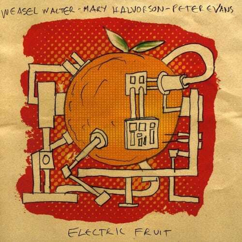 Mary Halvorson Electric Fruit CD