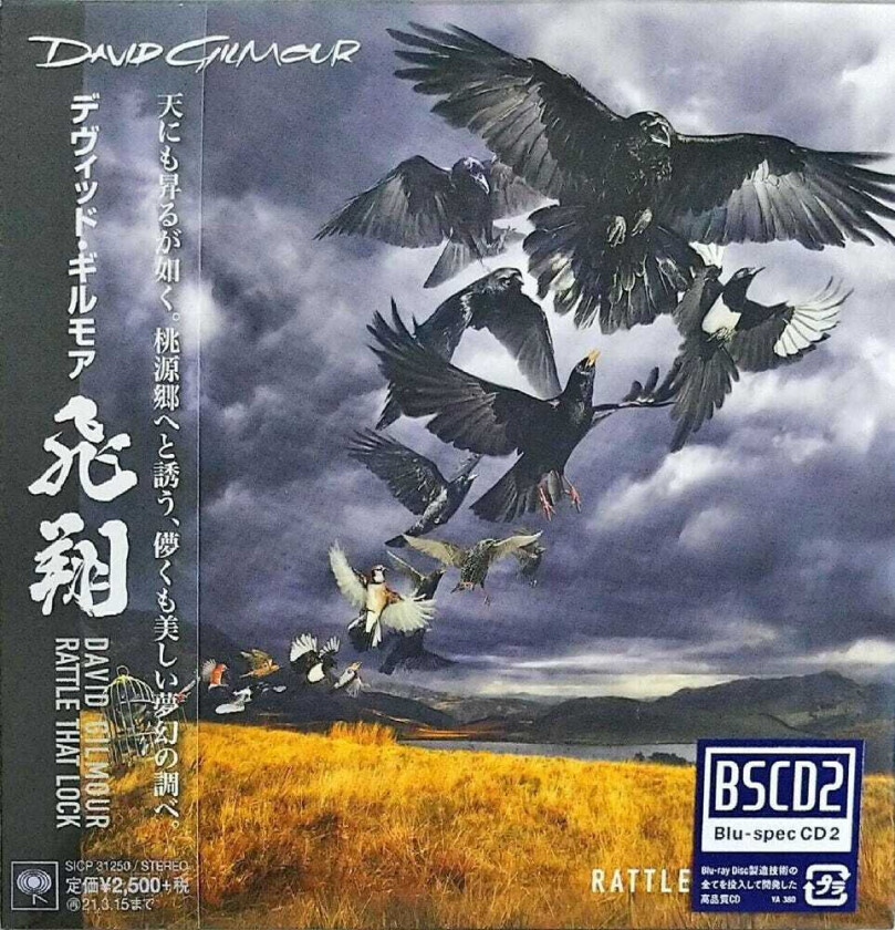 David Gilmour Rattle That Lock CD