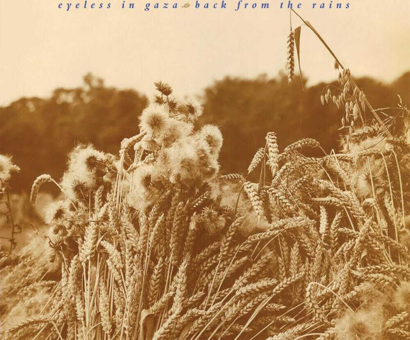 Eyeless In Gaza Back From The Rains (2024 Remastered & Expanded) CD