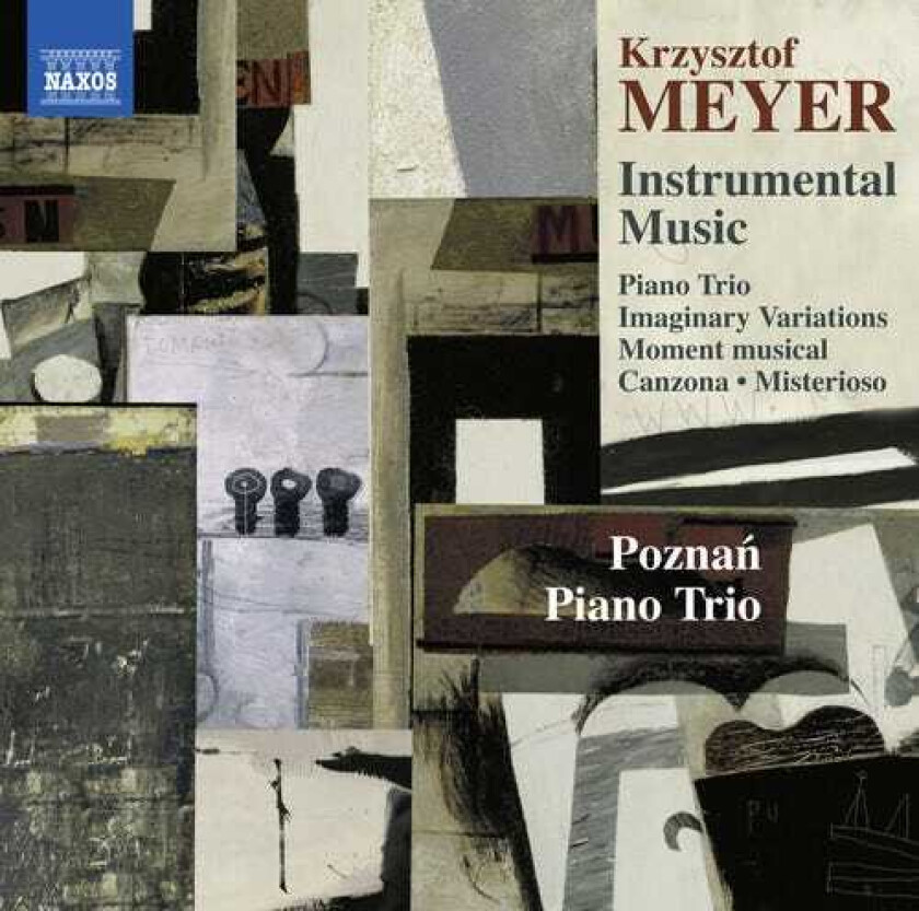 Meyer, Poznan Piano Trio Instrumental Music CD