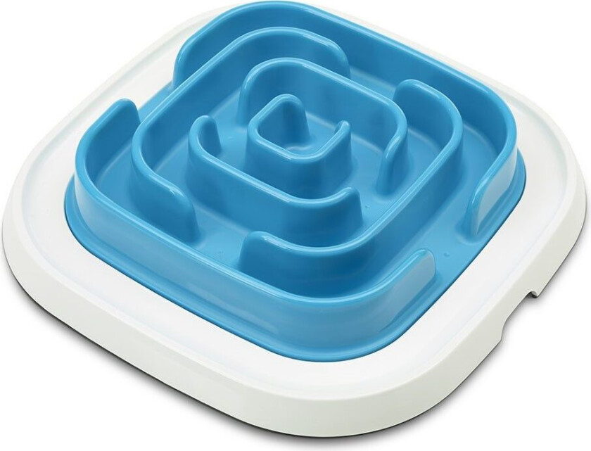 Bilde av Pet Enigma - Blå (L:37 x B:37 x H:8,5 cm)