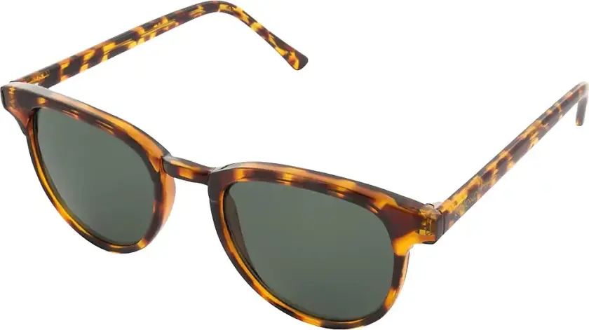 Francis Tortoise brun