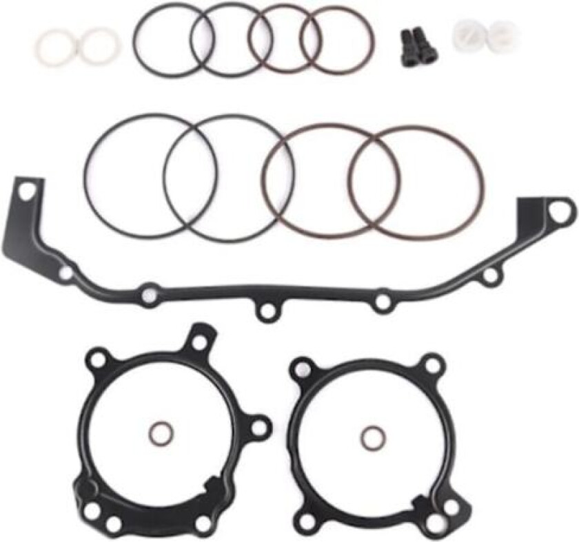 Vanos O-Ring Tetningsreparasjonssett Passer E36 E39 E46 E53 E60 E83 E85 M52Tu M54 Dobbelt Konveks Reparasjonssett