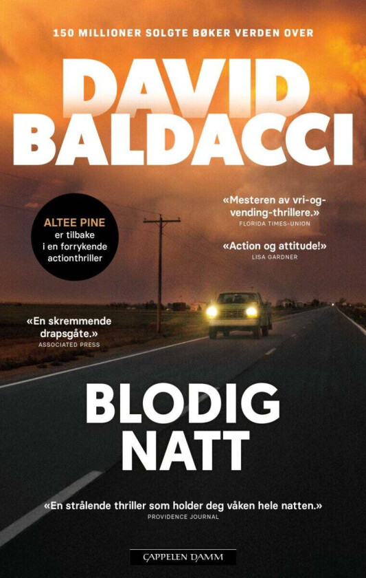 Blodig natt av David Baldacci