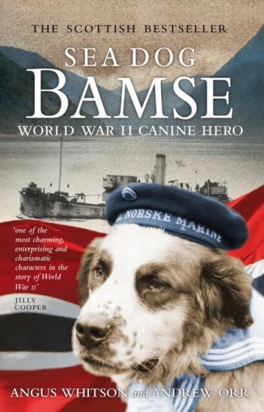 Sea dog Bamse av Andrew Orr, Angus Whitson