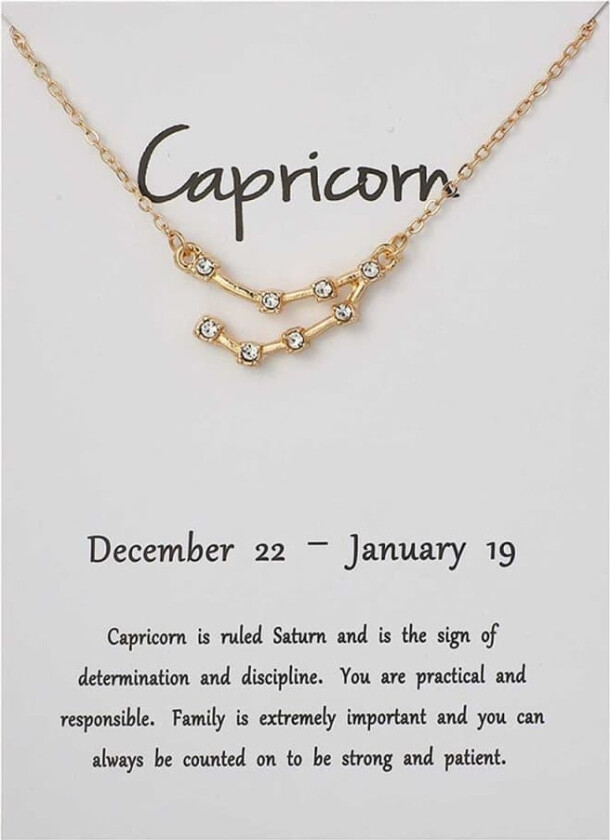 Zodiac Sign halskjede Steinbukken Steinbukken Gave halskjede gull