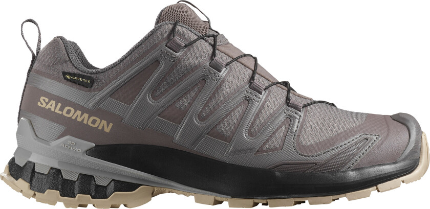 Women's XA Pro 3D V9 GORE-TEX Plum Kitten/black/gull