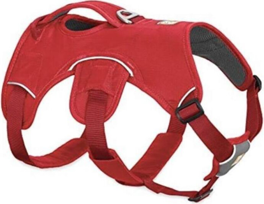 Web Master Harness Hundesele Rød Currant S