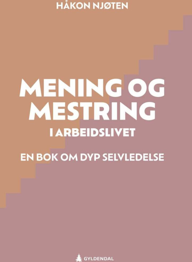 Mening og mestring i arbeidslivet av Håkon Njøten