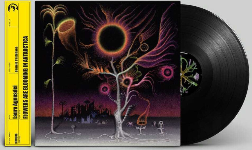 Laura Agnusdei Flowers Are Blooming In Antarctica LP/Vinyl