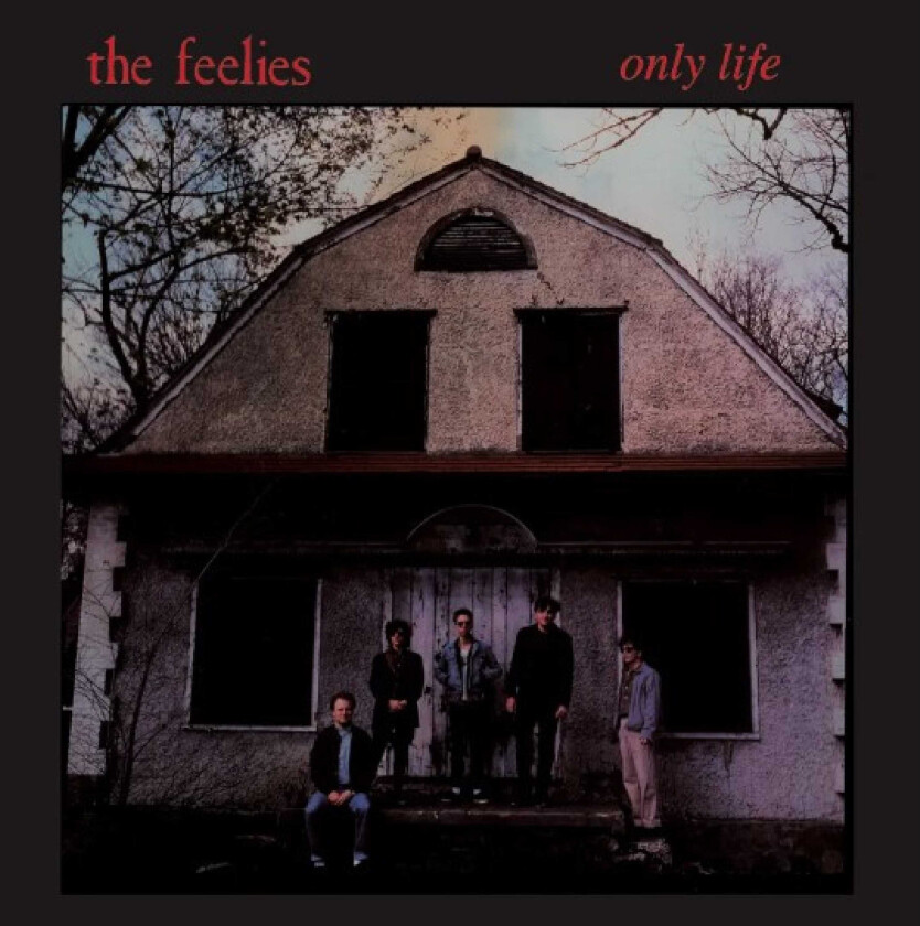The Feelies Only Life LP/Vinyl