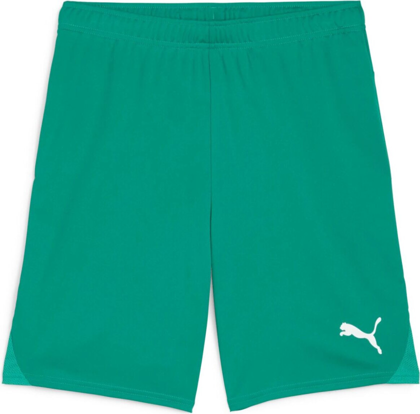 teamGOAL Shorts, fotballshorts, herre Sport Green-White
