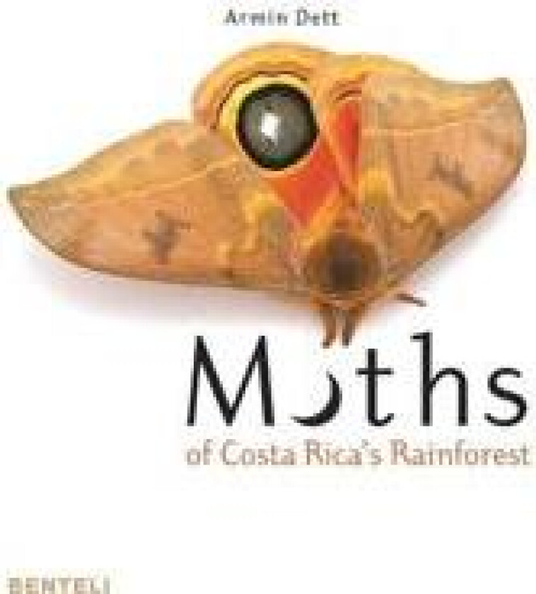 Moths of Costa Rica's Rainforest