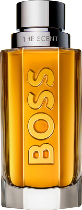 The Scent After Shave (100 ml)