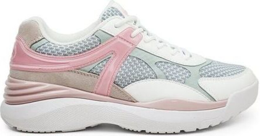 Biomechanics Walker Multi 38