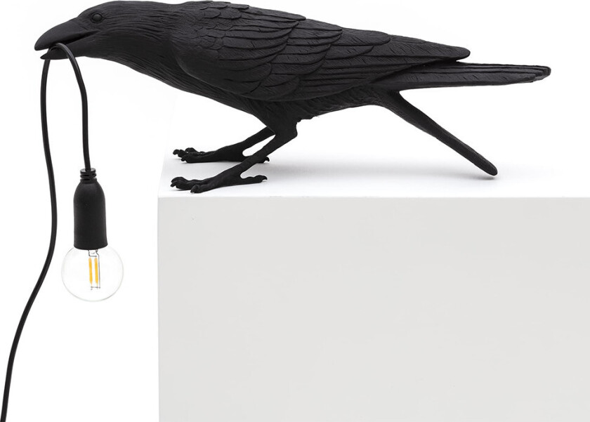 Bird Lamp Playing Black