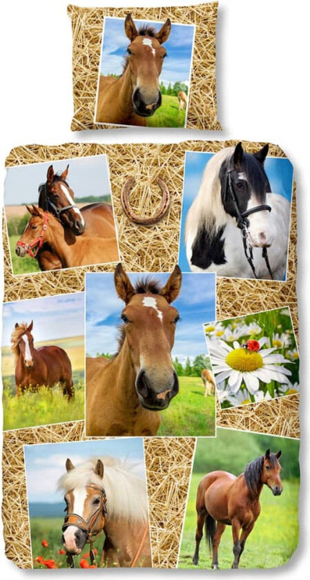Sengesett 5752-P HORSES 135x200 cm flerfarget