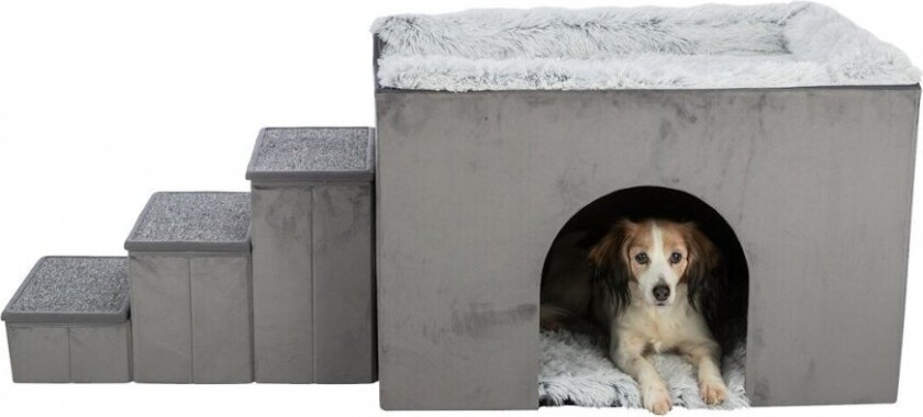 Harvey Hundehus med Trapp Grå (154 × 60 × 60 cm)