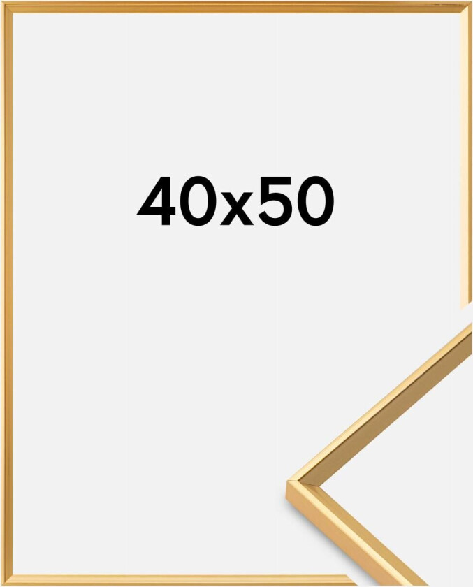 Ramme Desire Akrylglass Gull 40x50 Cm