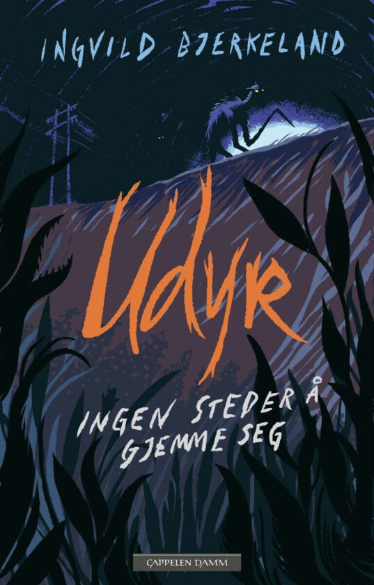 Ingen steder å gjemme seg av Ingvild Bjerkeland