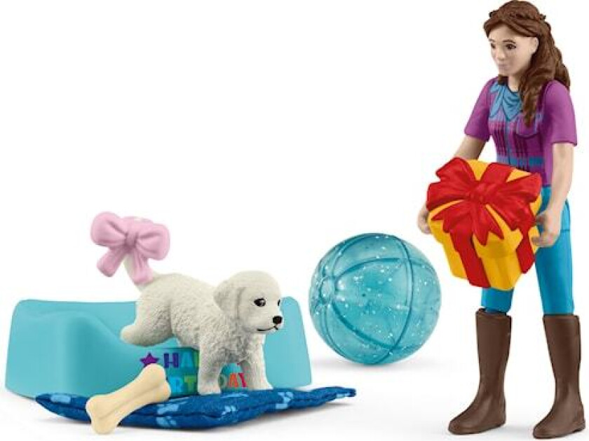 Pocket Set Birthday party with Lisa