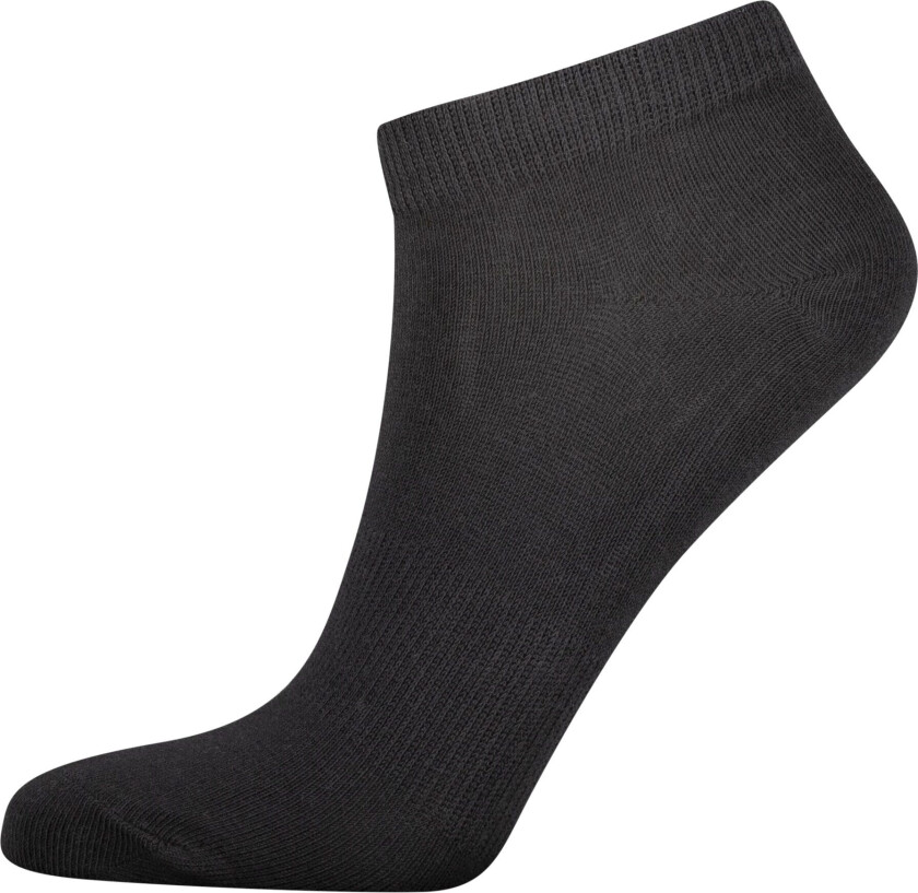 No Show Sock 2-pk, sokker junior Caviar Black