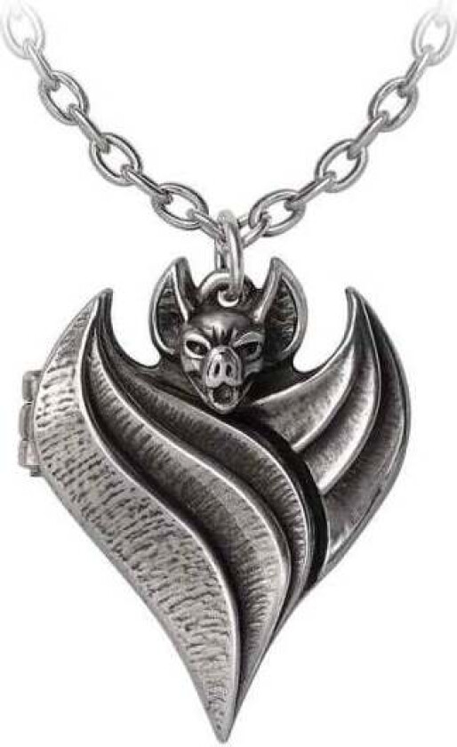Bilde av Goth Halskjede - Darken Heart Locket - Damer - standard