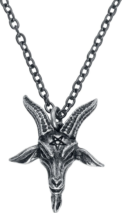 Goth Halskjede - Templar's Bane Pendant - Damer - sølvfarget
