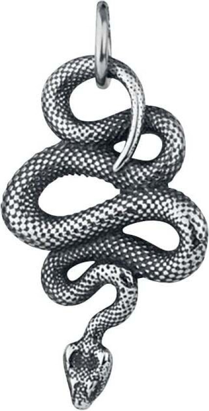 Bilde av Halskjede - Schlange - Damer - sølvfarget