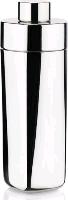 Rocks shaker 40 cl Blank