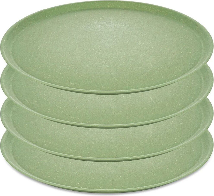 Connect tallerken Ø 25,5 cm 4-pakning Nature leaf green